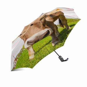 Portable marketing windproof custom printing 2 section fiberglass ribs auto open and close 3 fold umbrella